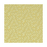 Clarke And Clarke Fabric Hollins Citrus CLARKE & CLARKE MARBURY POLYESTER - 58%;COTTON - 42% India MEDIUM Horizontal: 9.06 and Vertical: 4.21 55 - My Fabric Connection -