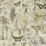 Clarke And Clarke Fabric Botany Charcoal/Chartreuse CLARKE & CLARKE EXOTICA COTTON - 100% India HEAVY Horizontal: 27.125 and Vertical: 27.125 55.125 - My Fabric Connection -