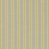 Clarke And Clarke Fabric Thornwick Citrus CLARKE & CLARKE BEMPTON COTTON - 100% India Horizontal: 1.5 and Vertical: 0 55.125 - My Fabric Connection -