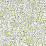 Clarke And Clarke Fabric Lugar Chartreuse CLARKE & CLARKE PALMERO COTTON - 100% Spain MEDIUM Horizontal: 13.625 and Vertical: 27.625 54 - My Fabric Connection -