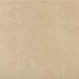 Kravet Design Fabric Ruffian-16 POLYURETHANE - 50%;SILICONE - 50% China HEAVY Horizontal: 0 and Vertical: 0 54 - My Fabric Connection -