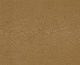 Maxwell Fabric Persuasion # 007 Butterscotch VINYLS IV - CONTRACT 100% PVC
BACKING-100% POLYESTER TAIWAN </p><p>Repeat: Horizontal: and Vertical: 54" - My Fabric Connection -