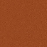 ABBEYSHEA Fabric Kendrick 44 Pumpkin Spice N/A 100% Polyester China 40,000 Double Rubs </p><p>Repeat: Horizontal: and Vertical: 54" (137 cm) - My Fabric Connection -