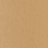 Carole Fabric Comfort Desert Daydreaming 100% Cotton India Passes 21,000 Double Rubs Wyzenbeek Horizontal: None and Vertical: None 54" - My Fabric Connection -