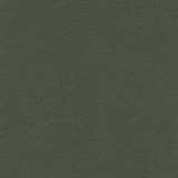 Carole Fabric Fact Finder Seaweed Celadon 100% Polyester Turkey Passes 40,000 Double Rubs Wyzenbeek Horizontal: None and Vertical: None 59" - My Fabric Connection -