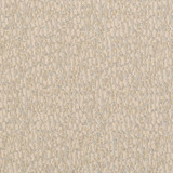 Carole Fabric Stamina Eggshell Magic Hour,Modern Edge 100% Polyester India Passes 25,000 Double Rubs Wyzenbeek Horizontal: None and Vertical: None 55" - My Fabric Connection -