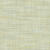 Carole Fabric Key To Comfort Cyan For The Window 100% Polyester India N/A Horizontal: None and Vertical: None 54" - My Fabric Connection -