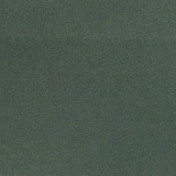Nassimi Fabric Ultra Racing Green See sample 100% Polyurethane 100000 Horizontal: Not Applicable and Vertical: Not Applicable 54" - My Fabric Connection -