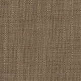 Carole Fabric Wiseman Bark Class Historian 100% Polyester India N/A </p><p>Repeat: None 54" - My Fabric Connection -
