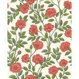 Cole & Son Wallcovering Hampton Roses R&Sgrn/Pmnt COLE & SON HISTORIC ROYAL PALACES-GREAT MASTERS NON WOVEN - 100% United Kingdom Horizontal: 20.5 and Vertical: 25.2 20.5 - My Fabric Connection -