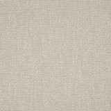 Kravet Smart Fabric 35943-111 PERFORMANCE KRAVETARMOR POLYESTER - 45%;VISCOSE - 37%;COTTON - 18% India HEAVY Horizontal: 0 and Vertical: 0 54 - My Fabric Connection -
