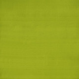 Clarke And Clarke Fabric Slyph Lime WILDERIE BY EMMA J SHIPLEY FOR C&C SILK - 100% India Horizontal: 0 and Vertical: 0 54 - My Fabric Connection -