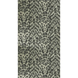 Clarke And Clarke Wallcovering Felis Charcoal/Gold WILDERIE BY EMMA J SHIPLEY FOR C&C NON WOVEN - 100% United Kingdom Horizontal: 0 and Vertical: 10.24 21 - My Fabric Connection -