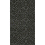 Clarke And Clarke Wallcovering Felis Charcoal/Rose Gold WILDERIE BY EMMA J SHIPLEY FOR C&C NON WOVEN - 100% United Kingdom Horizontal: 0 and Vertical: 10.24 21 - My Fabric Connection -