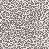 Charlotte Fabric D2456 Flint Patio Prints 100% Polyester Made In USA Exceeds 60,000 Wyzenbeek Rubs (Heavy Duty) </p><p>Repeat: No Repeat 54 Inches - My Fabric Connection - Charlotte Fabric D2456 Flint Patio Prints 100% Polyester Made In USA Exceeds 60,000 Wyzenbeek Rubs (Heavy Duty) </p><p>Repeat: No Repeat 54 Inches - My Fabric Connection -