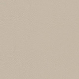 Charlotte Fabric V731 Fog Decorative Vinyl II 55% PVC, 40% Polyester, 5% Polyurethane Asia Exceeds 100,000 Wyzenbeek Rubs (Heavy Duty) </p><p>Repeat: No Repeat 54 Inches - My Fabric Connection -