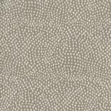 Carole Fabric Stars Above Silver Blue Steel 100% Polyester China None 57" - My Fabric Connection -
