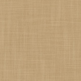 Carole Fabric Brookings Sand Enterprise 100% Polyester India None 55" - My Fabric Connection -