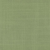 Carole Fabric Prophet Spearmint Prominence 79% Cotton, 21% Polyester India None 55" - My Fabric Connection -