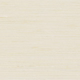 Carole Fabric Absolution Ivory Synchrony 100% Polyester IFR Hybrid India None 54" - My Fabric Connection -