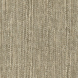 Carole Fabric Inspire Sand Synchrony 100% Polyester China None 57" - My Fabric Connection -