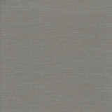 Carole Fabric Optimism Aluminium Synchrony 100% IFR Polyester India None 54" - My Fabric Connection -