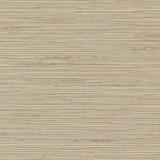 Carole Fabric Optimism Fog Synchrony 100% IFR Polyester India None 54" - My Fabric Connection -