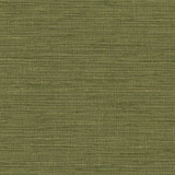 Carole Fabric Optimism Forest Synchrony 100% IFR Polyester India None 54" - My Fabric Connection -