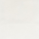 Stout Fabric Delegate 1 Chalk LIVING IS EASY CHAMPAGNE/TOAST 100%POL INDIA Horizontal: 0.000 and Vertical: 0.000 54 in - My Fabric Connection -