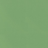 PKL Studio Fabric Vernon Leaf 410913 100% Cotton India 21000 Horizontal: 0 and Vertical: 0 55 - My Fabric Connection -