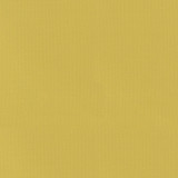 PKL Studio Fabric Vernon Dandelion 410942 100% Cotton India 21000 Horizontal: 0 and Vertical: 0 55 - My Fabric Connection -