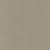 PKL Studio Fabric Vernon Limstone 410958 100% Cotton India 21000 Horizontal: 0 and Vertical: 0 55 - My Fabric Connection -