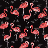 Charlotte Fabric D2730 Flamingo Patio Prints II 100% Spun Polyester Asia Exceeds 60,000 Wyzenbeek Rubs </p><p>Repeat: Horizontal 25" x Vertical 25" 54 Inches - My Fabric Connection -
