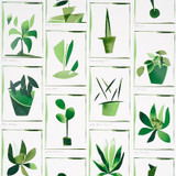 Schumacher Wallcovering Botanicals Greenhouse 5012691 Wallcovering Paper UNITED STATES OF AMERICA </p><p>Repeat: H: HORZ. 27" (69CM), V: VERT. 29 1/4" (75CM) 27 - My Fabric Connection - Schumacher Wallcovering Botanicals Greenhouse 5012691 Wallcovering Paper UNITED STATES OF AMERICA </p><p>Repeat: H: HORZ. 27" (69CM), V: VERT. 29 1/4" (75CM) 27 - My Fabric Connection -