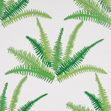 Schumacher Wallcovering Canyon Ferns Jungle 5012621 Wallcovering Paper UNITED STATES OF AMERICA </p><p>Repeat: H: HORZ. 27" (69CM), V: VERT. 26" (66CM) 27 - My Fabric Connection -
