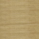 Greenhouse Fabric S5135 Honey Beige 100% Polyester India DRAPERY </p><p>Repeat: None 57" - My Fabric Connection - Greenhouse Fabric S5135 Honey Beige 100% Polyester India DRAPERY </p><p>Repeat: None 57" - My Fabric Connection -