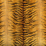 Kravet Fabric 36357.84.0 Fabric VISCOSE - 72%;POLYESTER - 20%;LINEN - 5%;COTTON - 3% Turkey MEDIUM </p><p>Repeat: H: 27.55, V: 30.31 53.14 - My Fabric Connection -