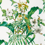 Brunschwig & Fils Fabric 8022129.31.0 Fabric COTTON - 100% Italy MEDIUM </p><p>Repeat: H: 26.77, V: 26.77 53.5 - My Fabric Connection -
