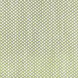 Gaston Y Daniela Fabric GDT5638.006.0 Fabric POLYESTER FR - 99%;VISCOSE - 1% Italy HEAVY </p><p>Repeat: H: 0, V: 0 55 - My Fabric Connection -