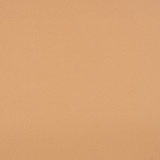 Sunbrella Fabric 10200-0007 Capriccio Toast Sunbrella Horizon Capriccio Marine Upholstery Sunbrella® Engineered Leather USA or Imported 5-Year, 3-Year Microbial Pink Staining Horizontal: and Vertical: 54 in. - My Fabric Connection -
