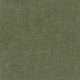 Stout Fabric Trevor 1 Fern LIVING IS EASY ALOE/MINERAL 100%POL CHINA PERFORMANCE RATED FABRIC FLAME RETARDANT-U.F.A.C. CLASS 1 CATB 117-2013 WYZENBEEK 50 000 DOUBLE RUB WEAR TEST (HEAVY DUTY) Horizontal: 0.000 and Vertical: 0.000 54 in - My Fabric Connection -