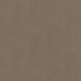 Stout Fabric Steeplechase 1 Putty LEATHER LOOKS V 100%POU 1%OTH KOREA Horizontal: 0.000 and Vertical: 0.000 54 in - My Fabric Connection -