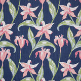 Aoc Fabric Emma 2 Punch THE ART OF COLOR HERITAGE II 100%COT USA Horizontal: 9.000 and Vertical: 12.625 54 in - My Fabric Connection -