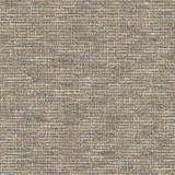 Stout Fabric Telstar 1 Sandstone CLOUD NINE 80%POL 20%SVI INDIA Horizontal: 0.000 and Vertical: 0.000 54 in - My Fabric Connection -