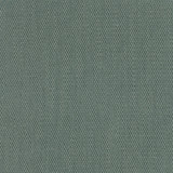 Stout Fabric Dimitri 4 Opal LIVING IS EASY ALOE/MINERAL 80%POL 20%SVI CHINA PERFORMANCE RATED FABRIC FLAME RETARDANT-U.F.A.C. CLASS 1 CATB 117-2013 WYZENBEEK 120 000 DOUBLE RUB WEAR TEST (HEAVY DUTY) Horizontal: 0.000 and Vertical: 0.000 56 in - My Fabric Connection -