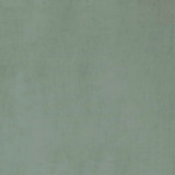 Marcus William Fabric Beechwood 7 Balsam KAI/MARCUS WILLIAM BOTANICAL ESCAPE 100%POL INDIA Horizontal: 0.000 and Vertical: 0.000 55 in - My Fabric Connection -