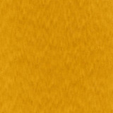 Carole Fabric Ahead Of The Game Curry First Class 100% Polyester CHINA None 58" - My Fabric Connection -