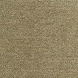 Carole Fabric Total Dream Moss First Class 100% Polyester-Softened TURKEY None 54" - My Fabric Connection -