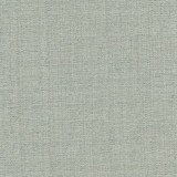 Carole Fabric Cortland Aquamarine Gala 100% Polyester India None 54.75" - My Fabric Connection -