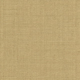 Carole Fabric Cortland Butterscotch Gala 100% Polyester India None 54.75" - My Fabric Connection -
